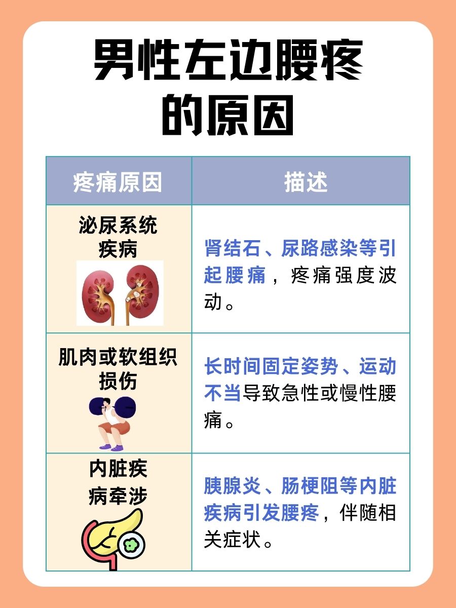男性健康警示:左侧腰疼的可能原因