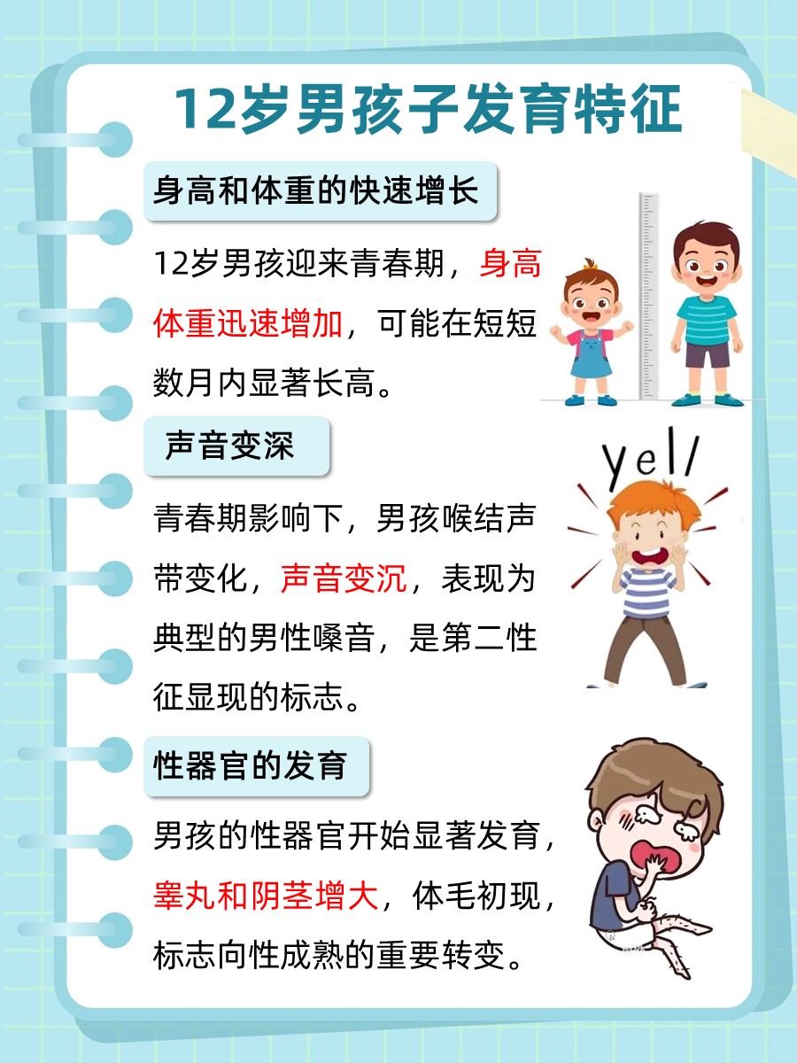 12岁男孩子发育特征，真相大揭秘