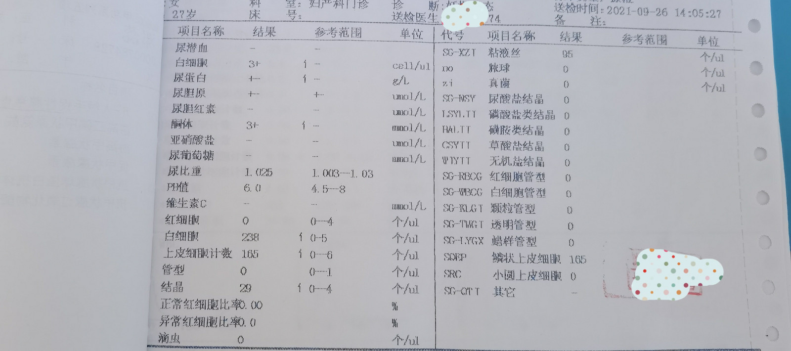孕期常见检查化验单