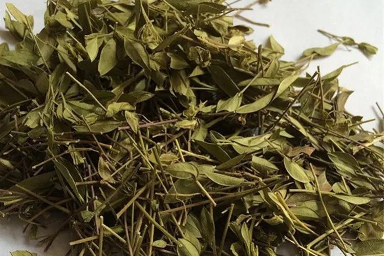 勒马回药材图 勒马回药材图