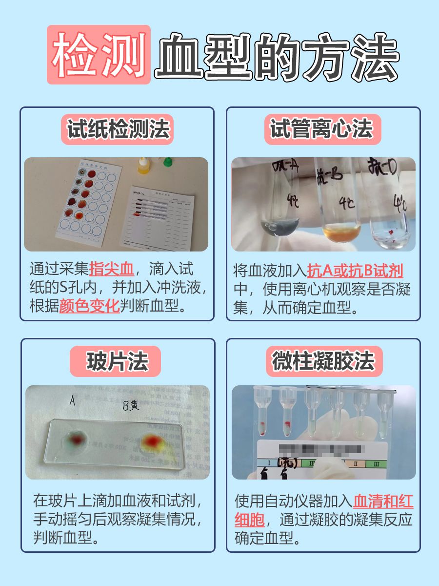 Rh阳性血是熊猫血吗？3分钟让你搞懂