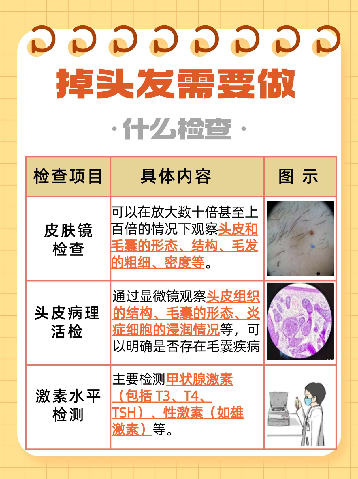 带你揭秘掉头发的背后真相，快来看