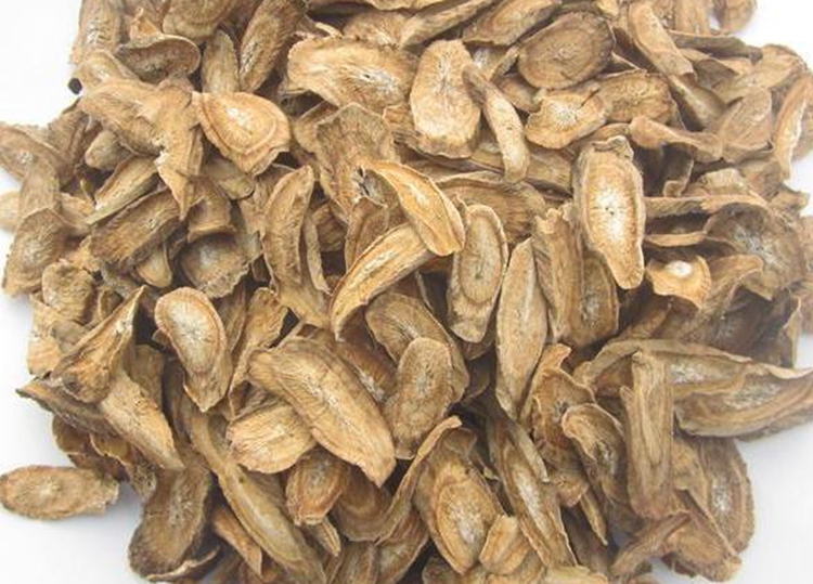 牛蒡根.jpg