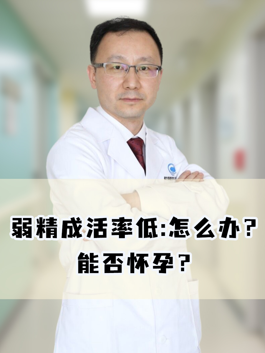 弱精成活率低:怎么办?能否怀孕?