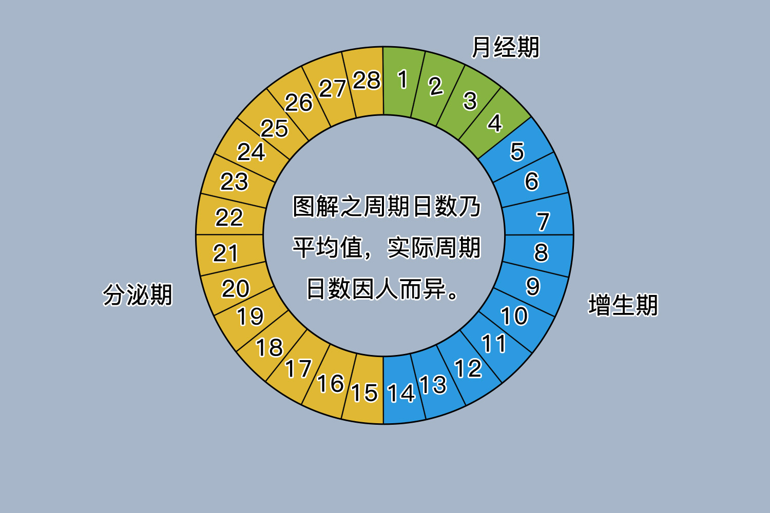 月经过程时间图 月经过程时间图