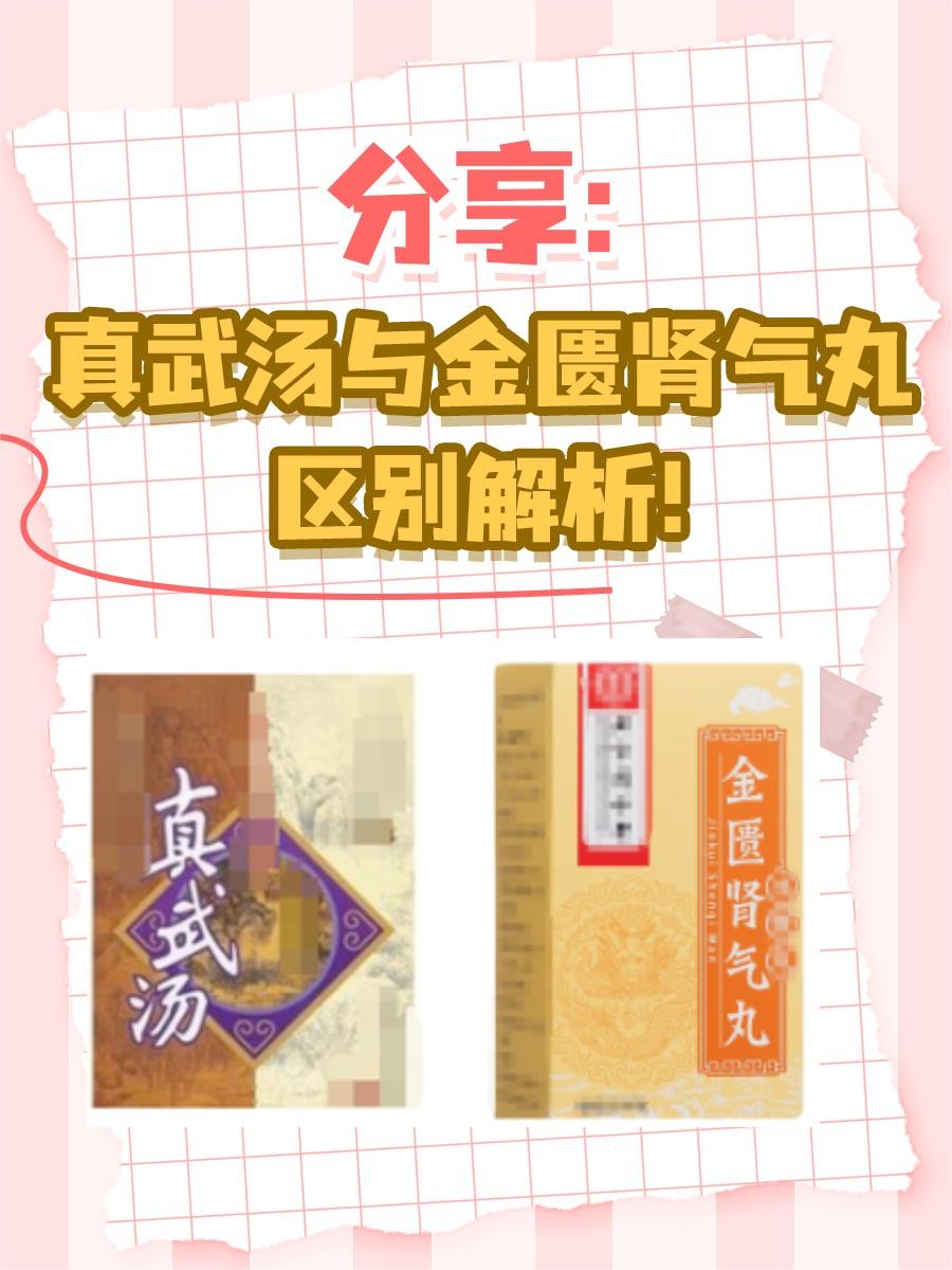 分享：真武汤与金匮肾气丸区别解析！