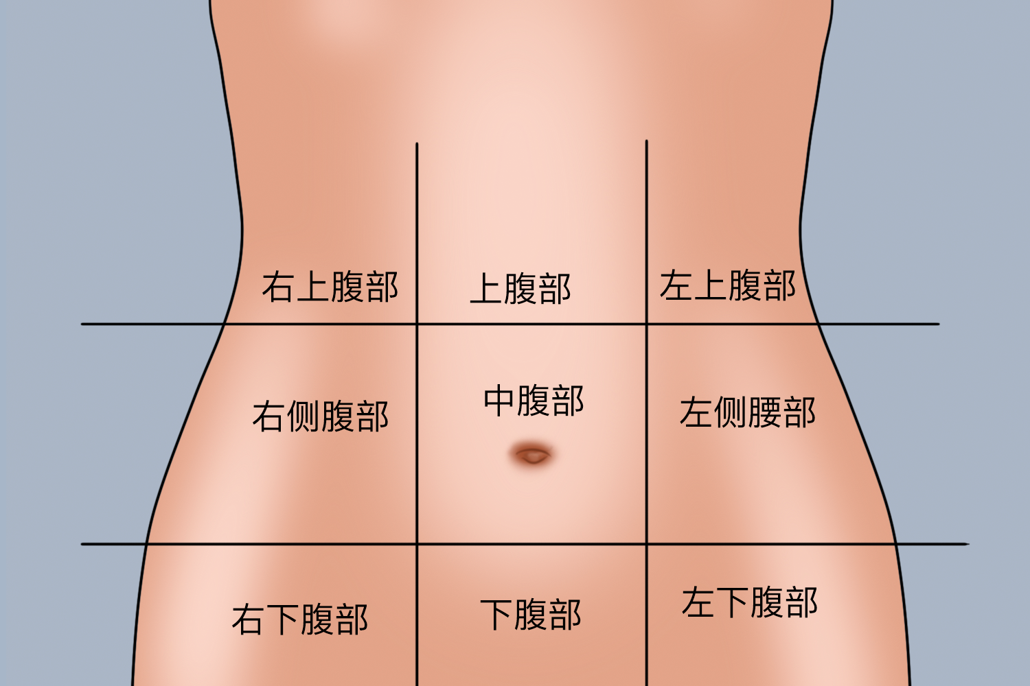 上腹部疼痛的位置图