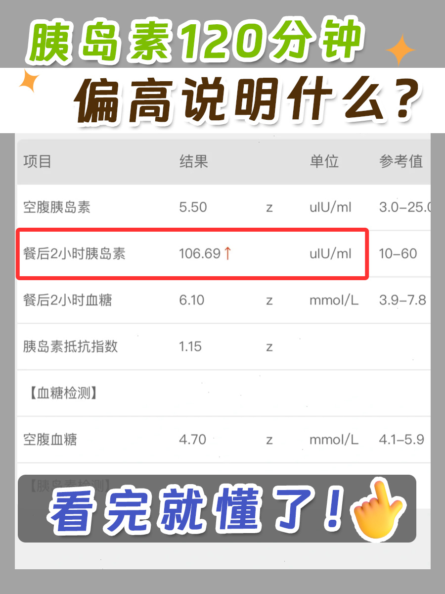 胰岛素120分钟偏高说明什么?看完就懂了!
