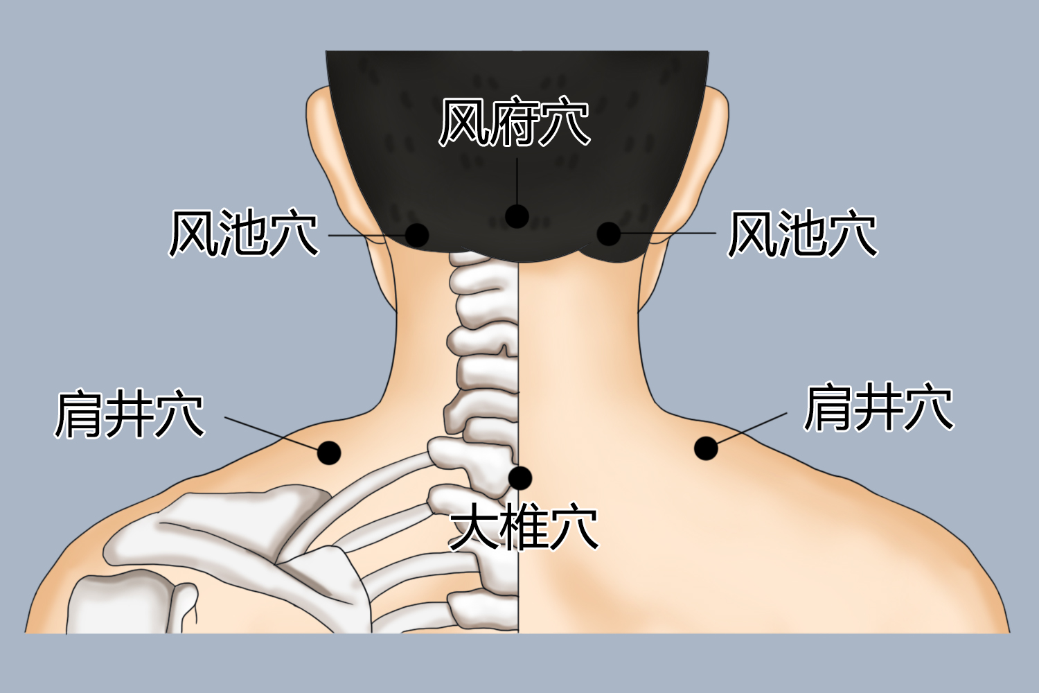 颈部刮痧方法的穴位图
