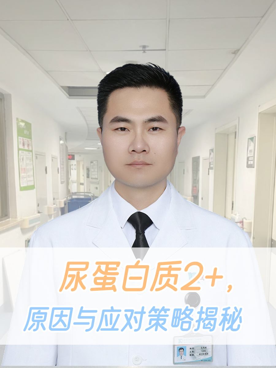 尿蛋白质2+，原因与应对策略揭秘
