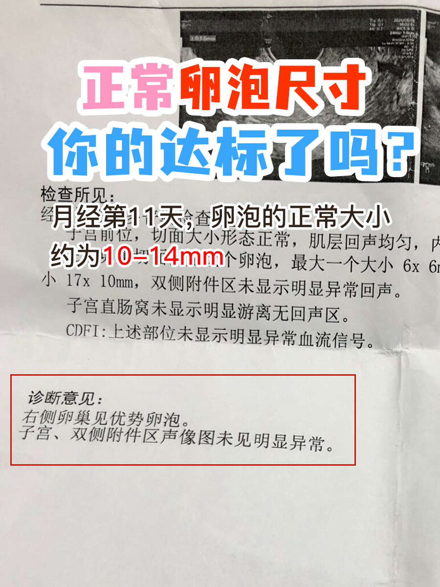 月经第11天正常卵泡尺寸，你的达标了吗？