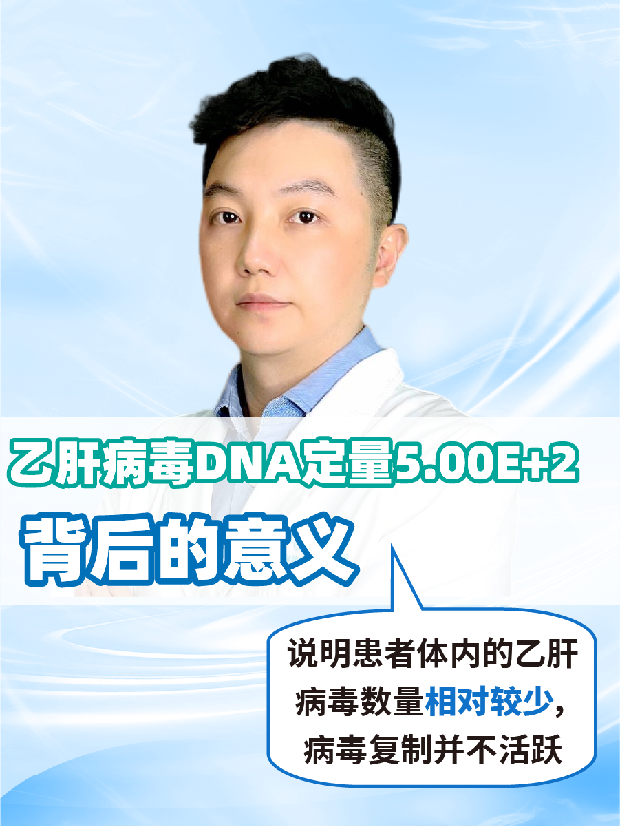 乙肝病毒DNA定量5.00E+2:背后的意义