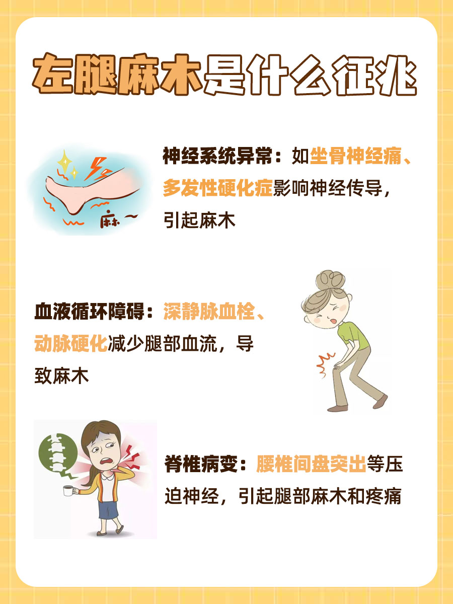 左腿麻木征兆解析,可能与哪些疾病相关