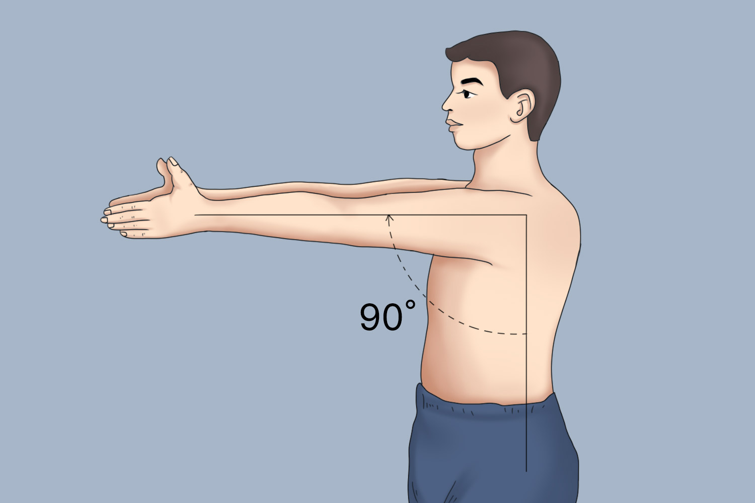 肩关节前屈90度图 肩关节前屈90度图