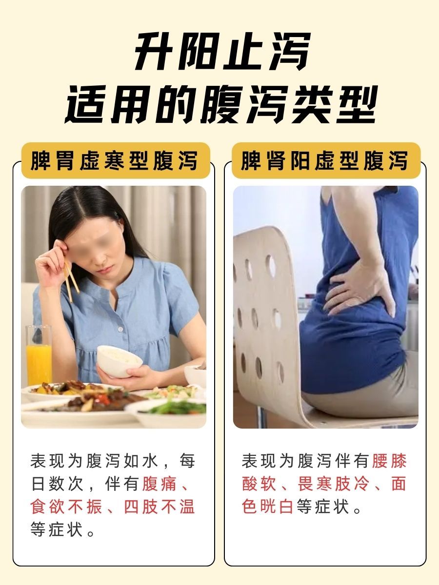 升阳止泻，调理身体的小妙招