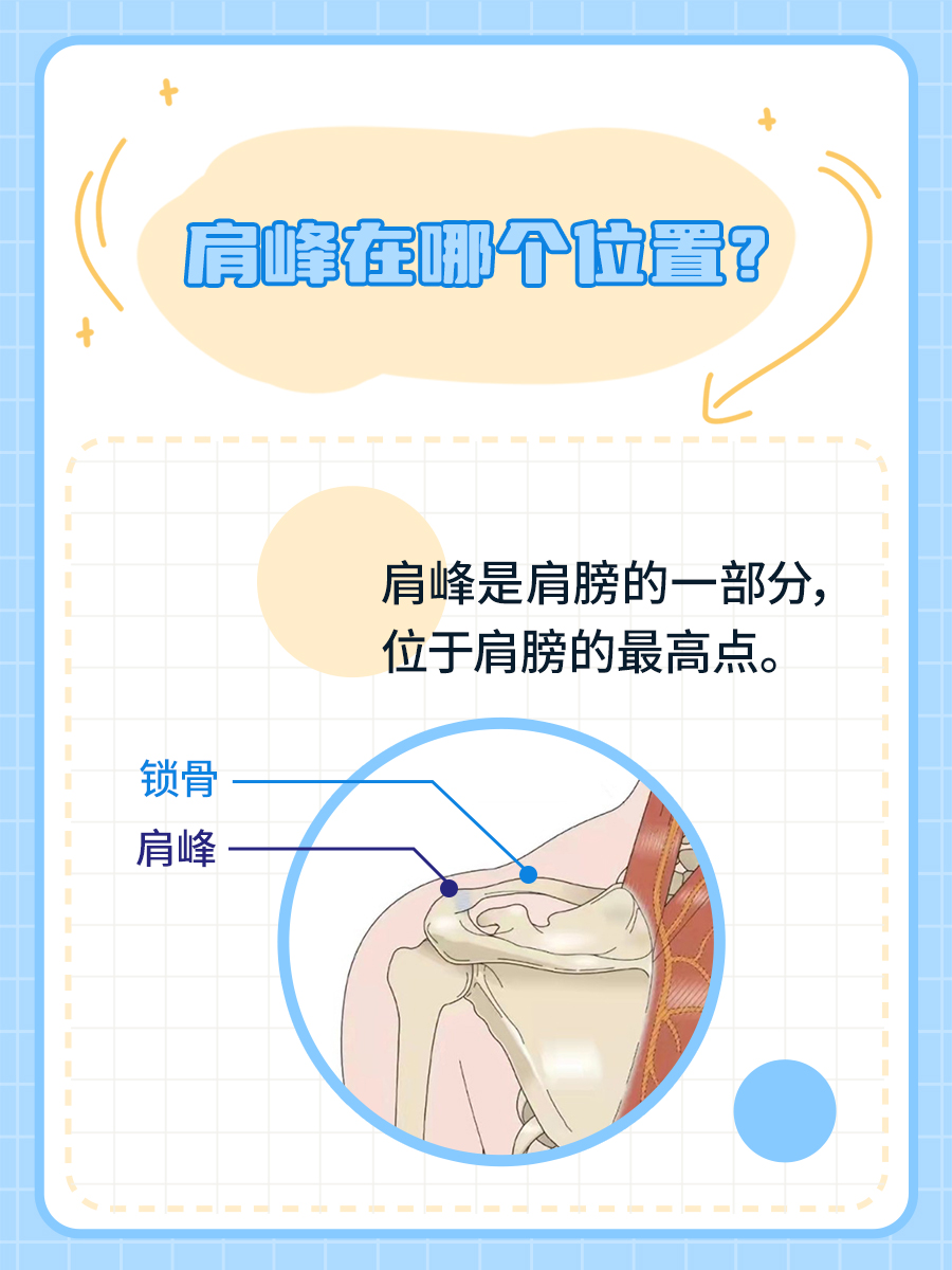 身体结构篇：医生告诉你，肩峰在哪里？