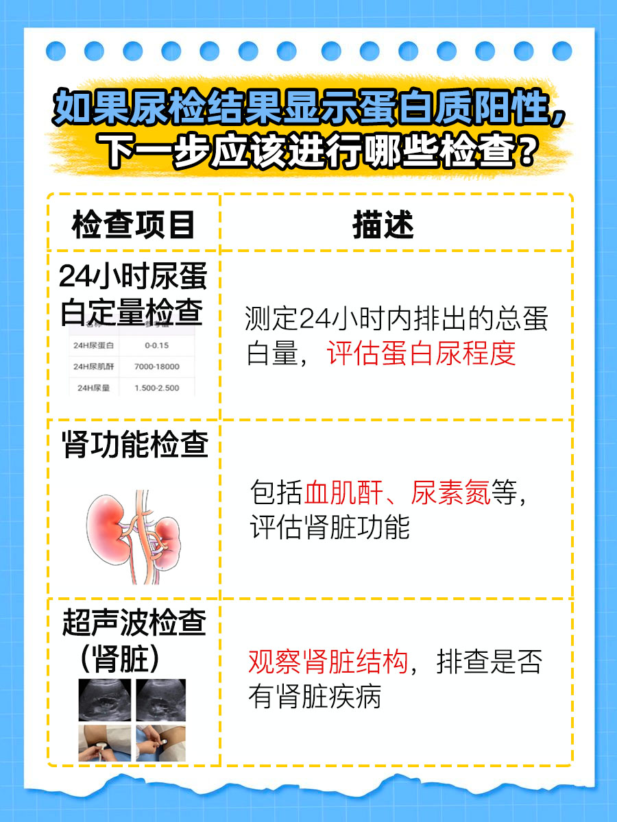 蛋白质阳性是什么意思？医生解答