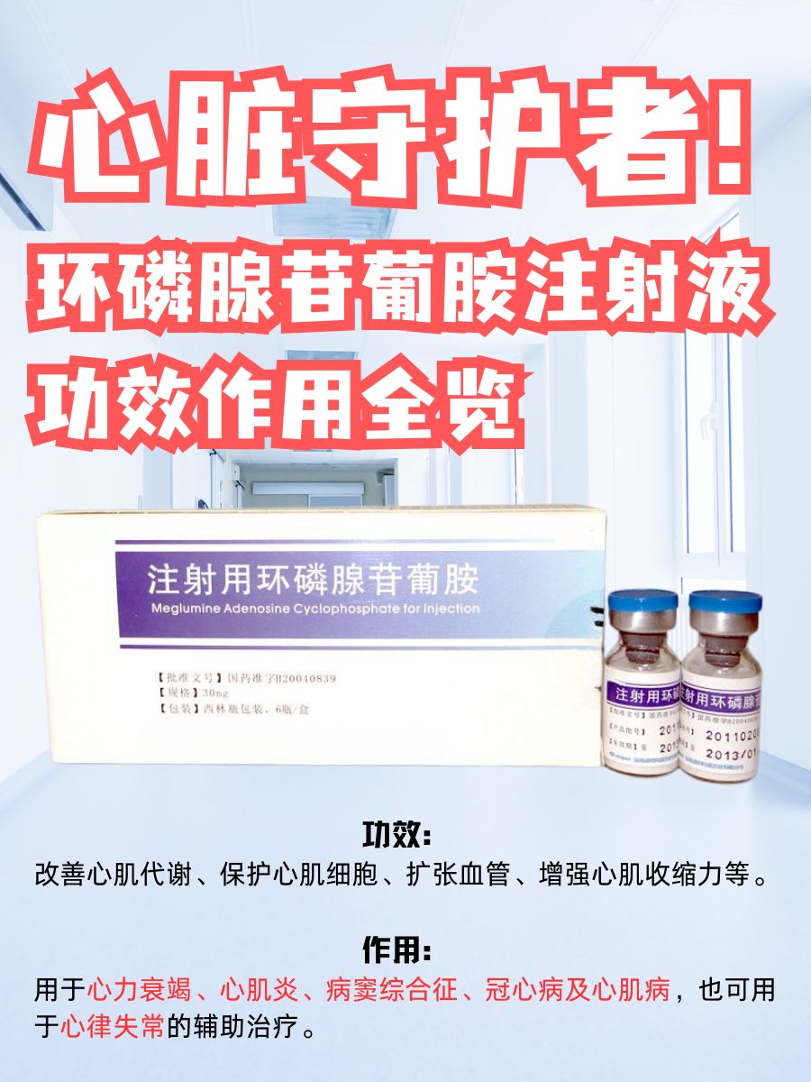 心脏守护者！环磷腺苷葡胺注射液功效作用全览