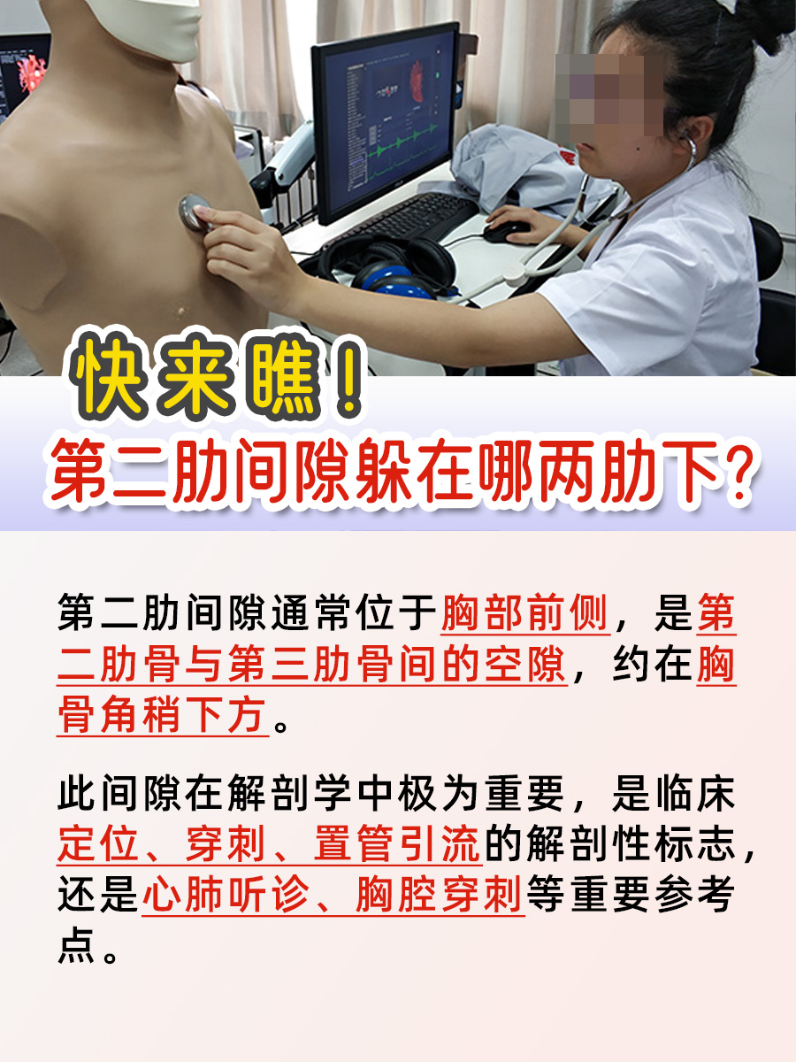 锁定！第二肋间隙就在这两肋之间
