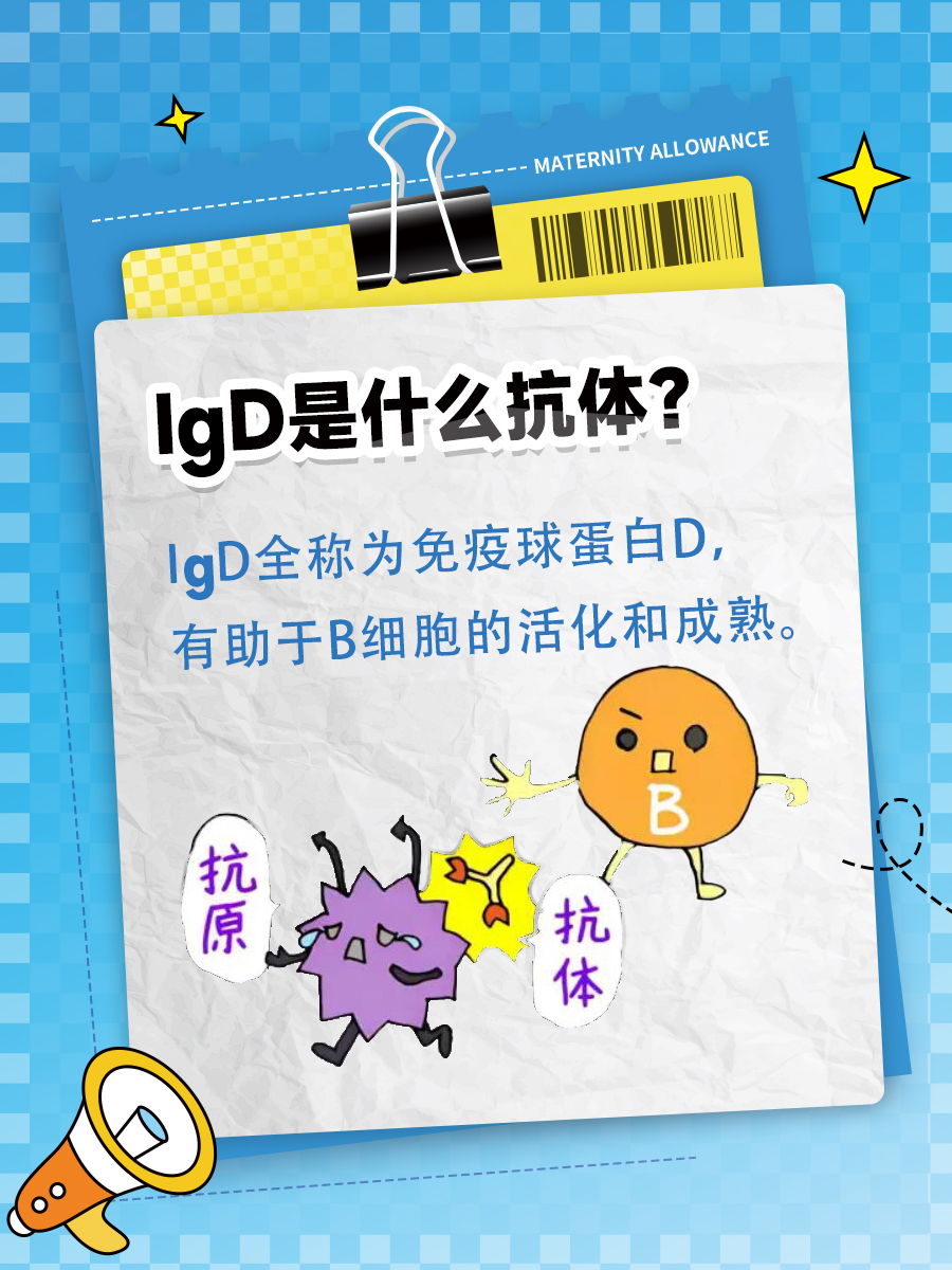 你知道IgD是什么抗体吗？来听听医生的解释