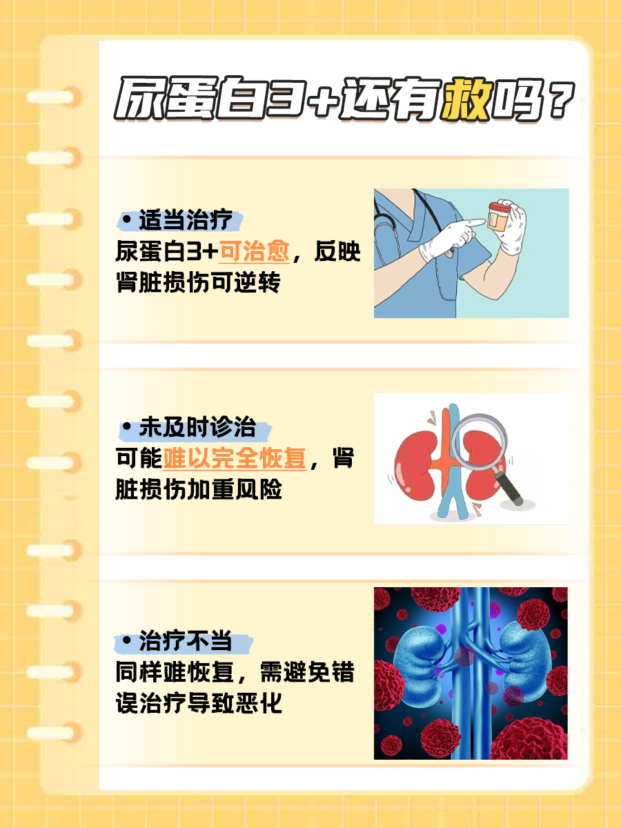 尿蛋白3+能治愈吗，你了解多少