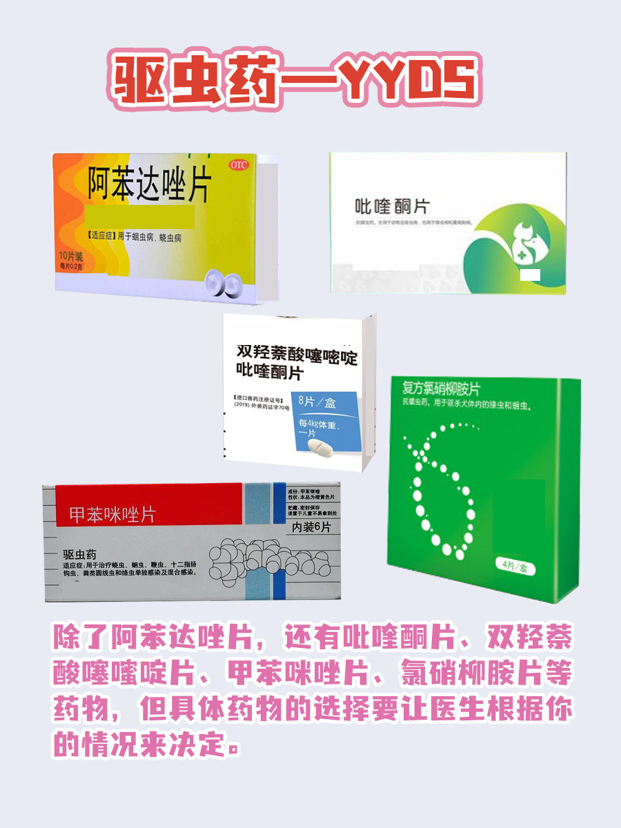 揭秘绦虫｜一文带你了解它！