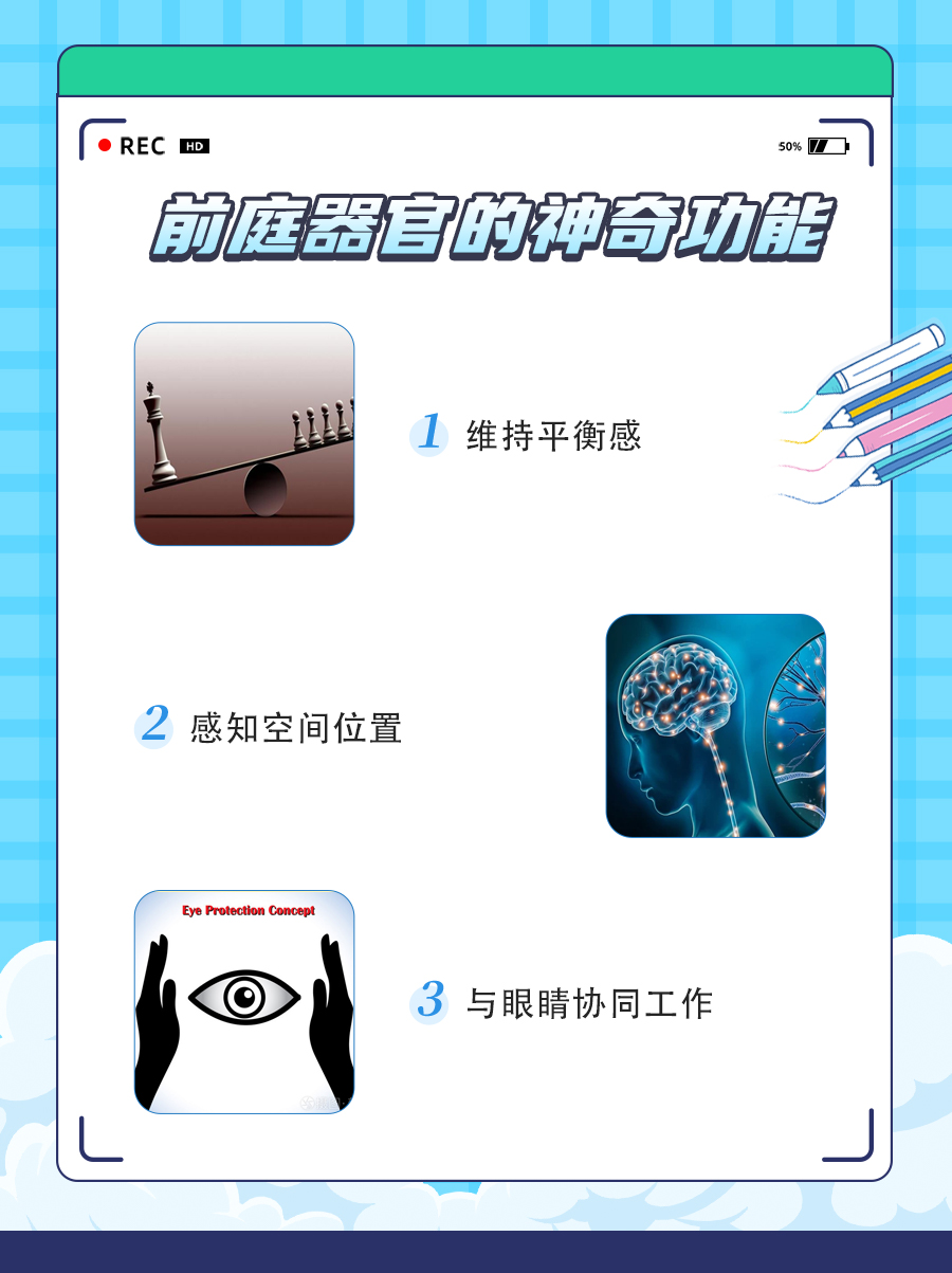 揭秘身体里的“平衡大师”—前庭器官