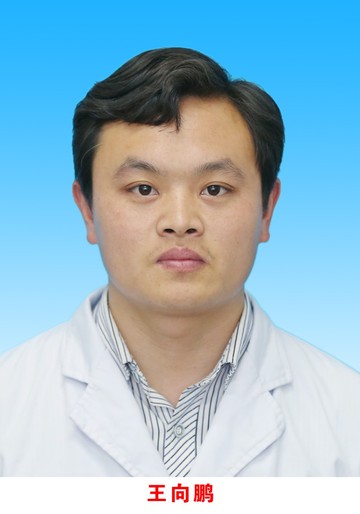 王向鹏
