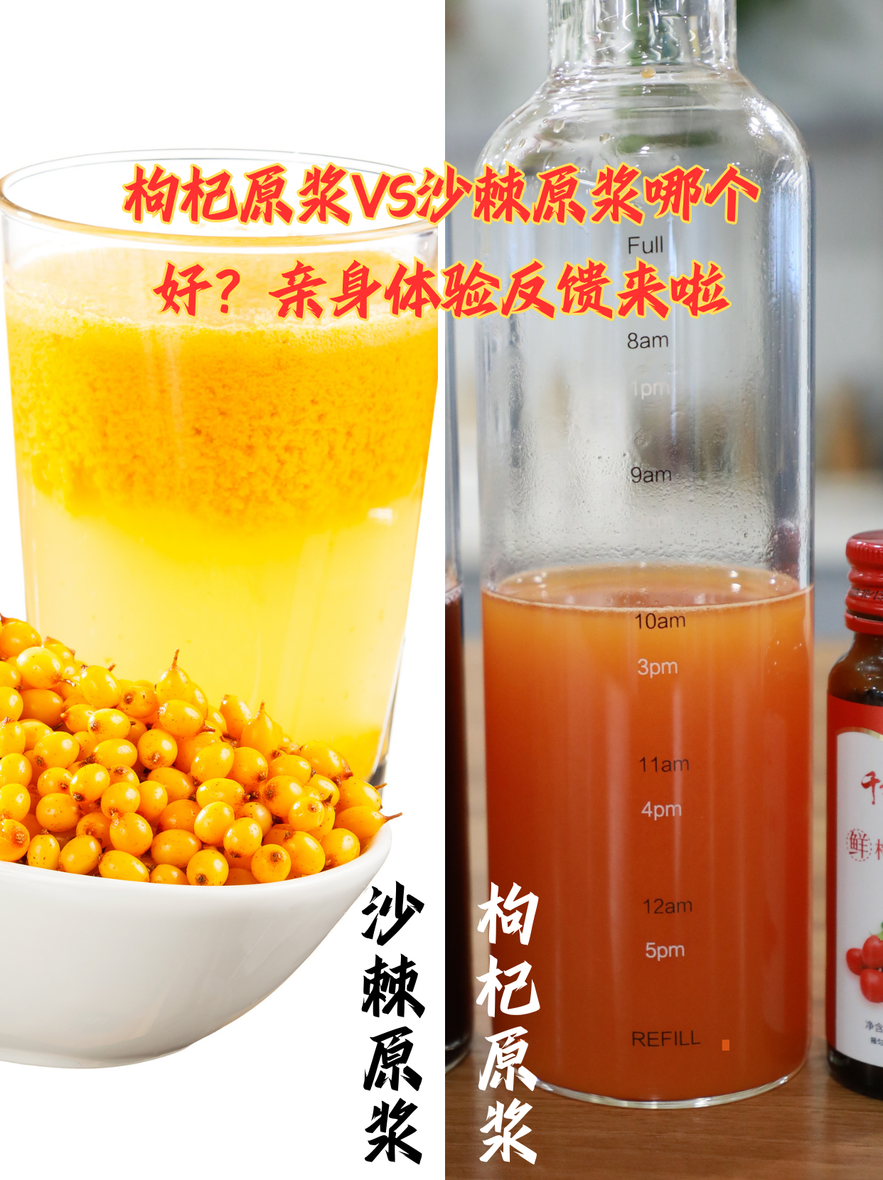 枸杞原浆VS沙棘原浆哪个好？亲身体验反馈来啦