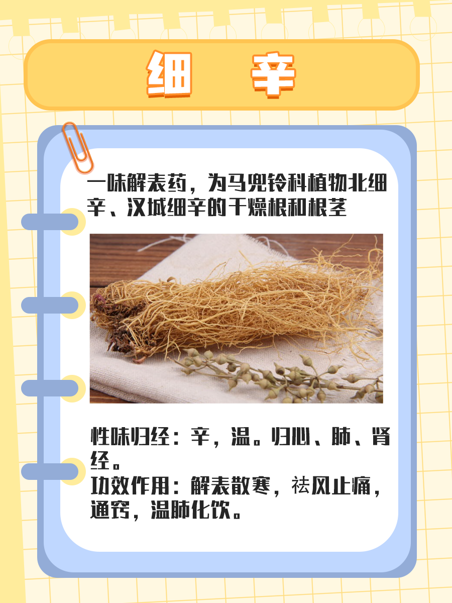 细辛：了解其副作用与毒性，安全用药更放心