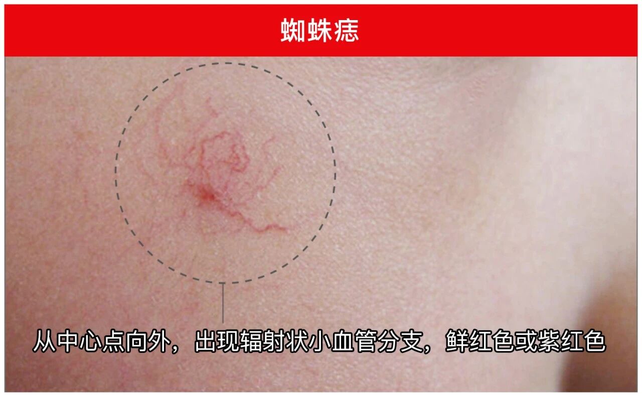 微信图片_2026-05-15_160818_865.jpg