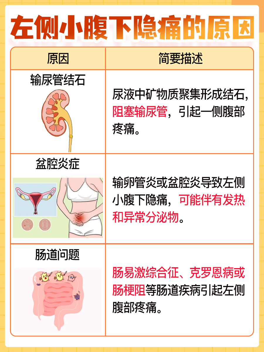 男性左侧小腹下隐痛，原因分析