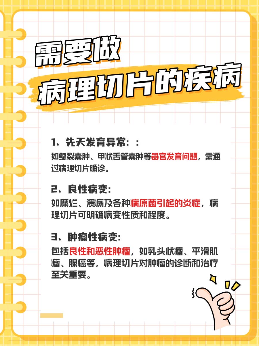 病理切片费用揭秘：20张切片需多少钱？