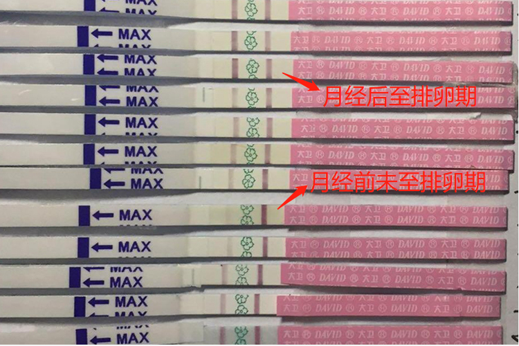 排卵试纸变化图