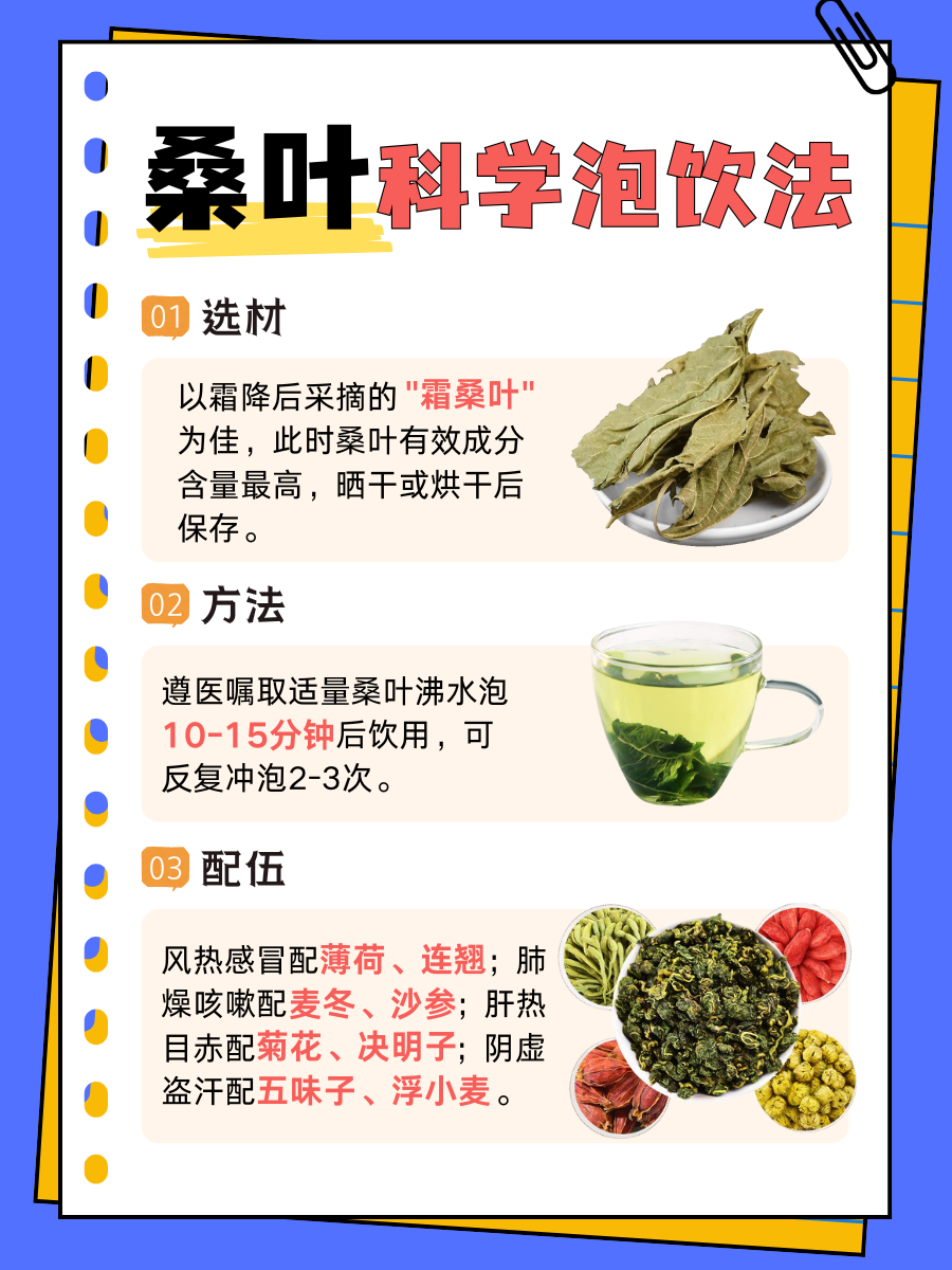 桑叶泡水喝有什么功效?很多人还不知道