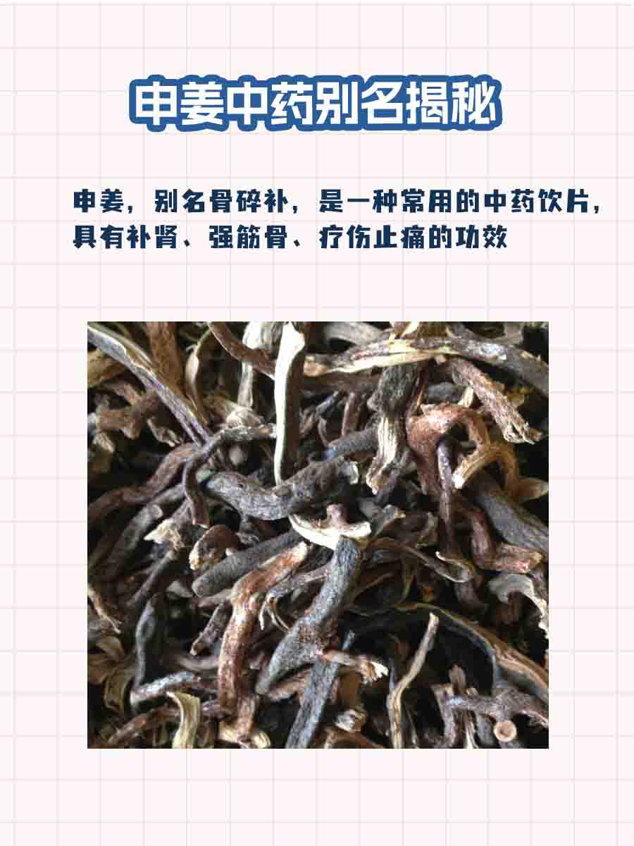 申姜中药别名揭秘：一文解析！
