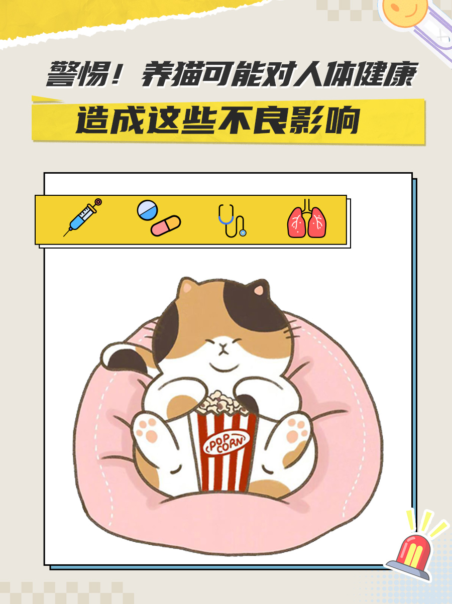 警惕！养猫可能对人体健康造成这些不良影响
