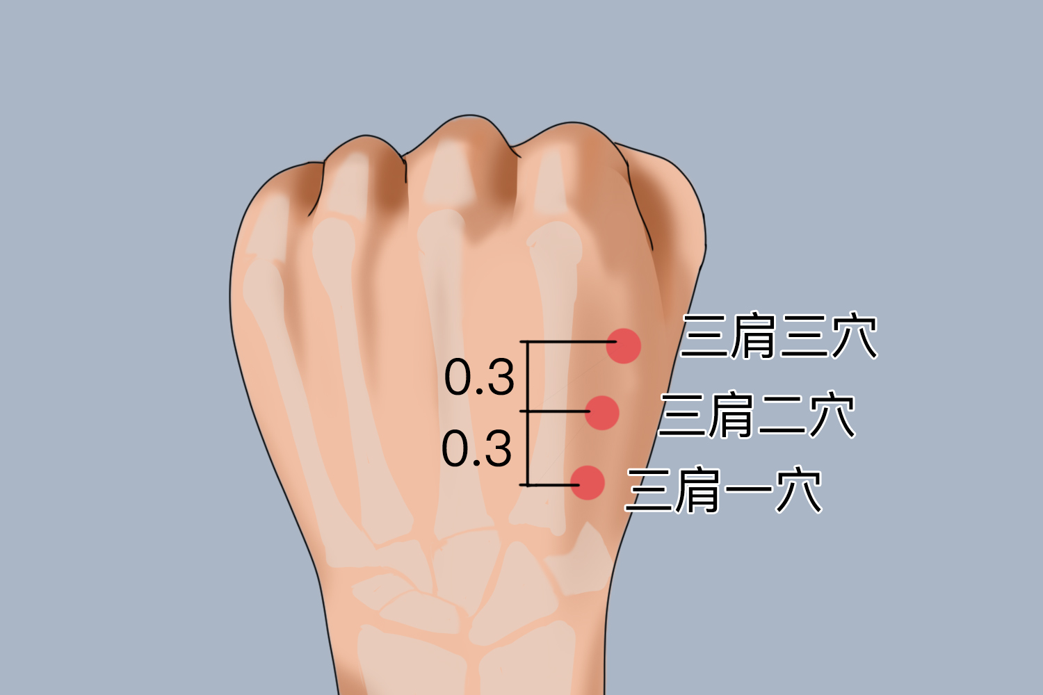 董氏三肩穴位置图