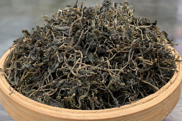 马兰头药材外观图 马兰头药材外观图