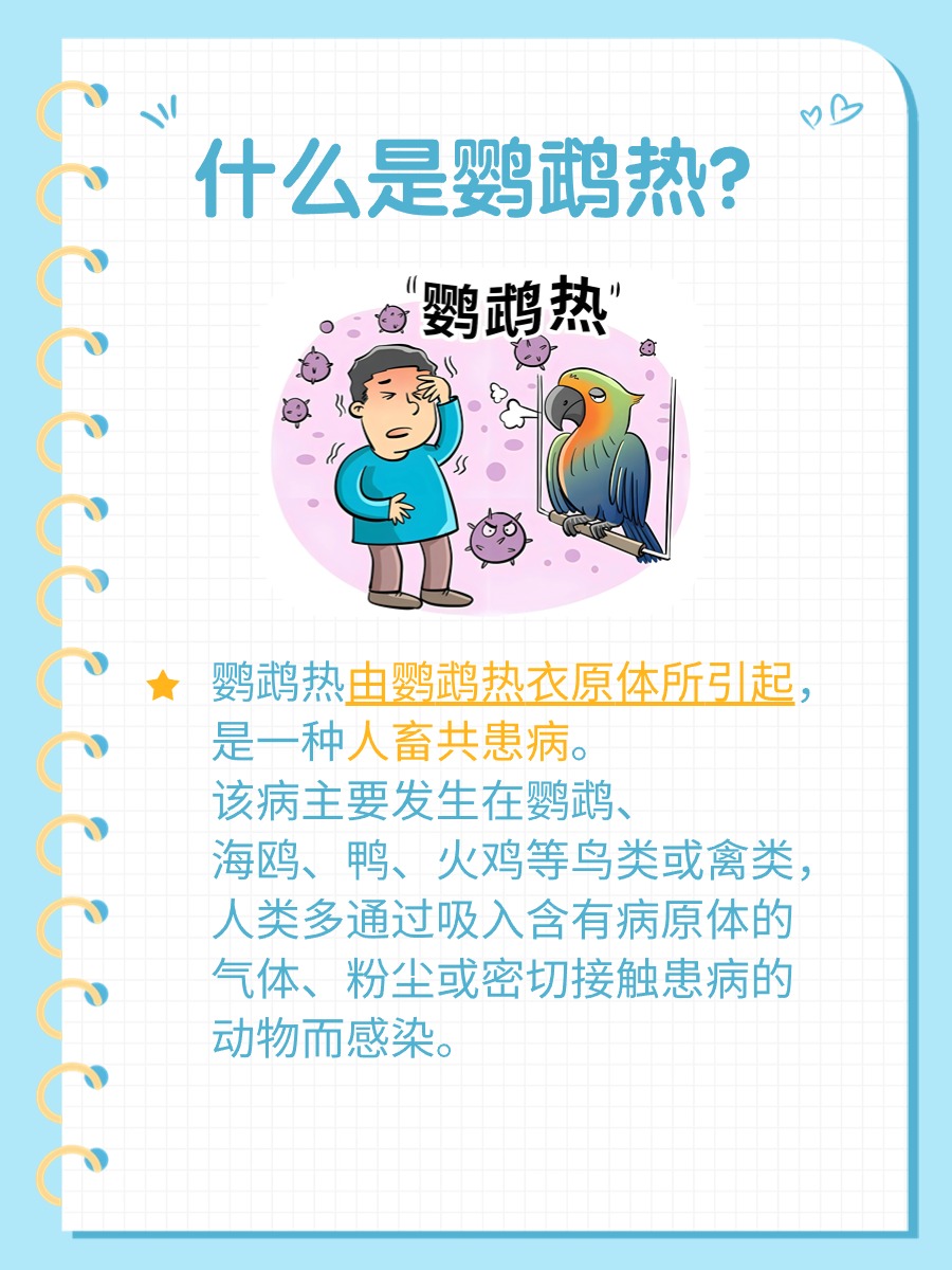 被鹦鹉咬出血了有事吗?一文解答!