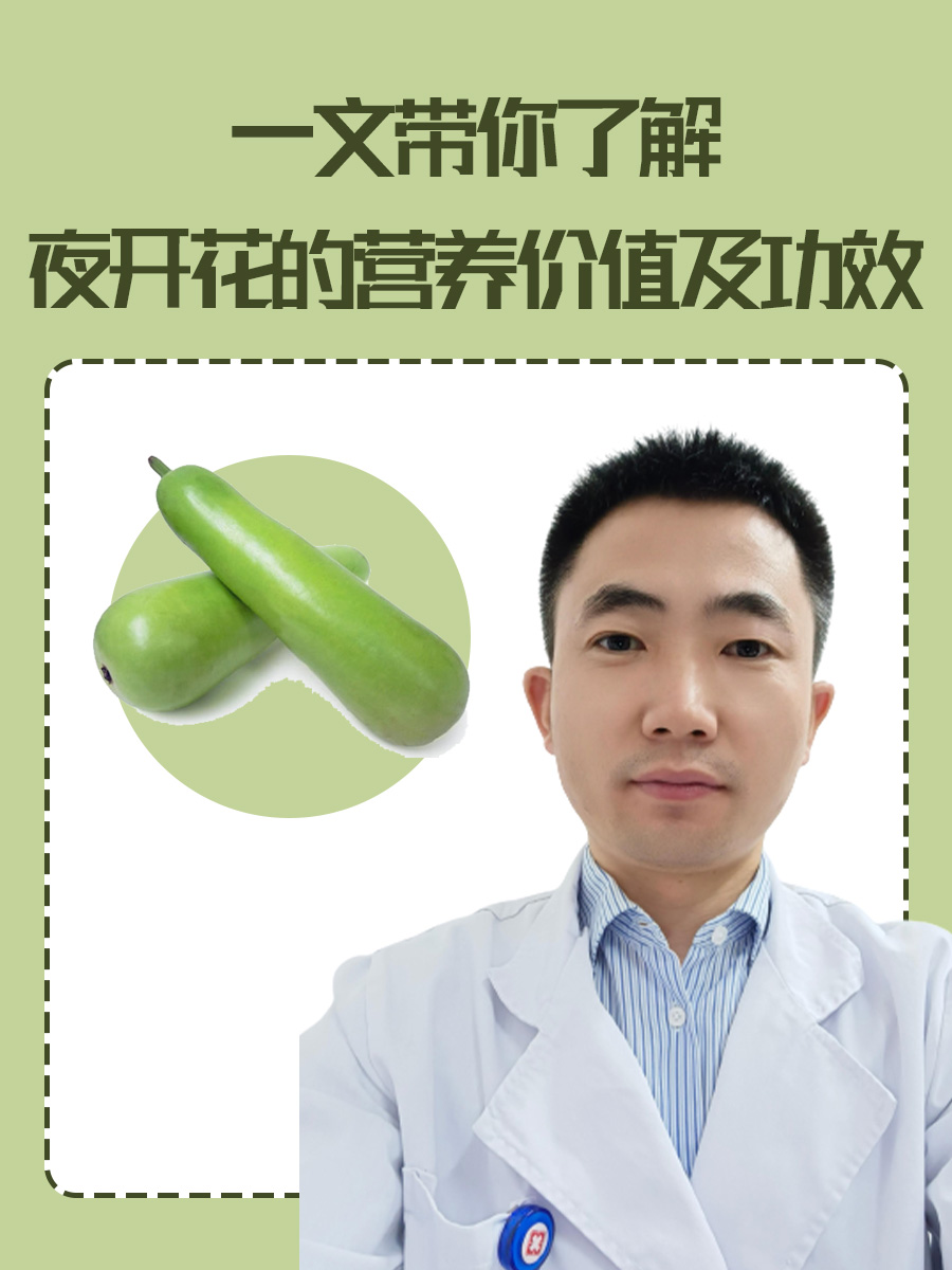 一文带你了解夜开花的营养价值及功效