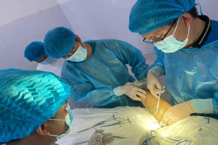 小隐静脉曲张手术图