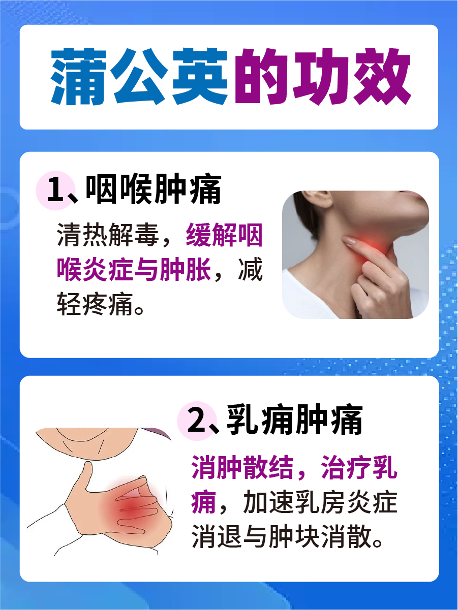 蒲公英的药用价值与食用方法，一文解析
