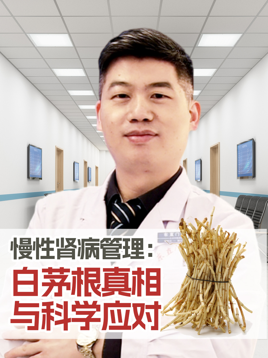 慢性肾病管理：白茅根真相与科学应对
