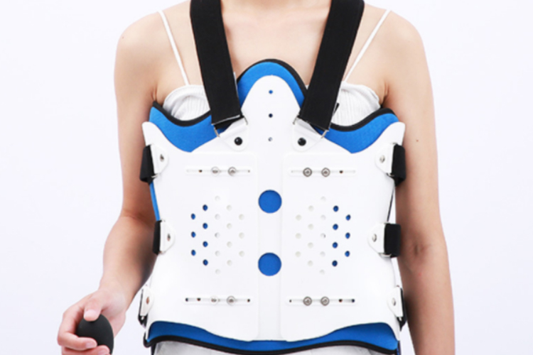 固定式胸椎支具矫形器图