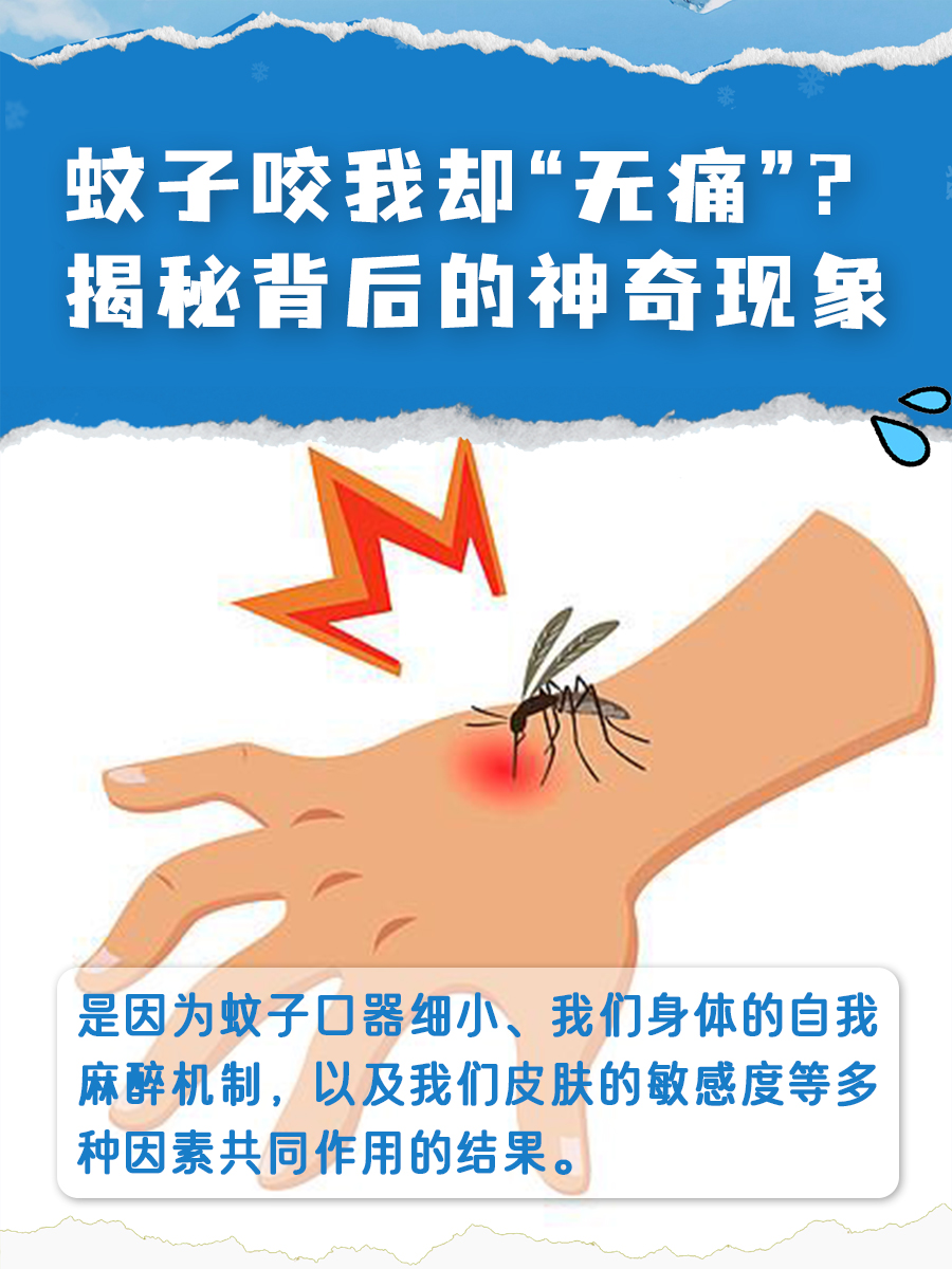 蚊子咬我却“无痛”？揭秘背后的神奇现象