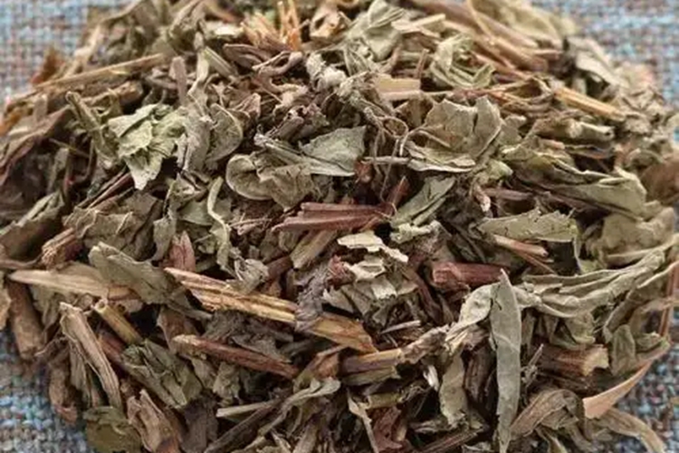 败酱草成药图 败酱草成药图