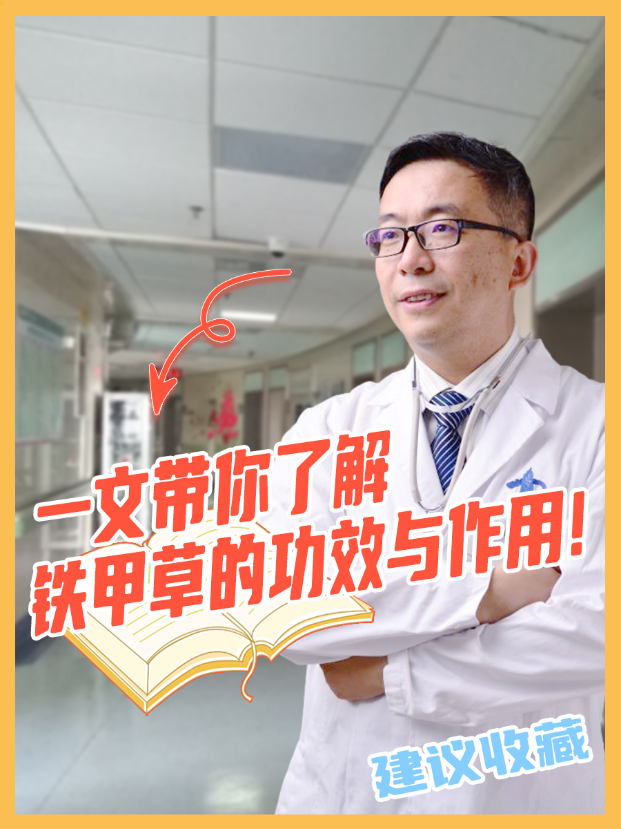 一文带你了解铁甲草的功效与作用！