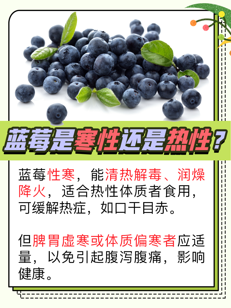 蓝莓是寒性还是热性，中医角度来分析
