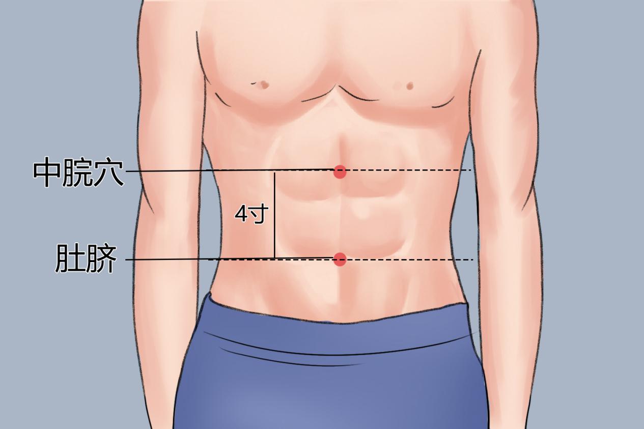 中脘穴位置图